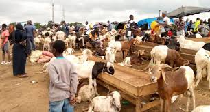 cote-divoire-tabaski-2025-sept-sites-amenages-pour-rendre-le-mouton-accessible-a-la-population-dabidjan.jpg
