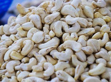 Côte d’Ivoire / Filière cajou : Le bond quantitatif dans les exportations d’amandes depuis 2020
