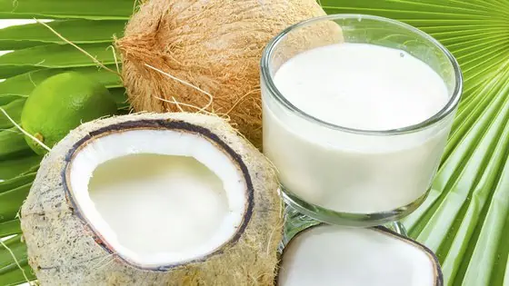 Le lait de coco : 6 bienfaits insoupçonnés de ce formidable allié santé